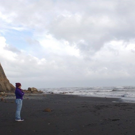 Tour Costa Araucanía