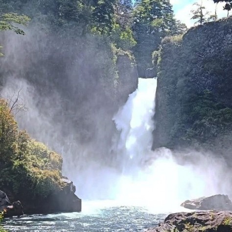 Tour Huilo Huilo